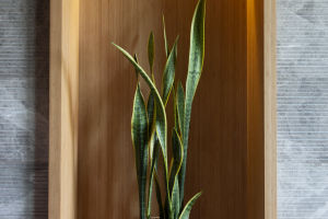 Sustainable Serenity