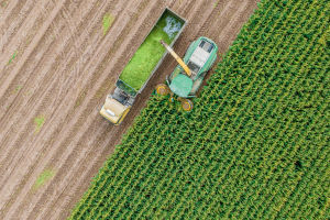 Revitalizing Rural Futures