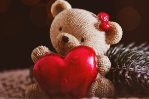 Teddy Bears