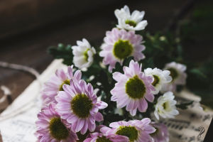 Make Life Romantic