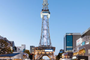 Japanese Tower