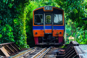 Bamboo Tracks