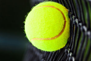 Data-Driven Athletic