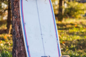Surfskate Revolution