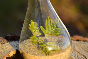 Innovative Waste Recycling