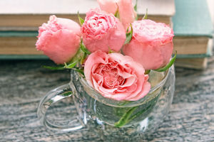 Blooms Beyond Beauty