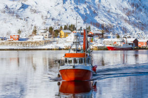 The Global Fishing Ground