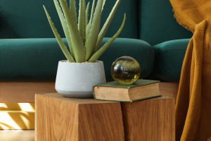 Interior Aesthetics