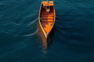 Self-Discovery Of Loneliness
