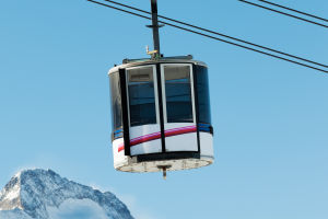 Majestic Alpine Beauty