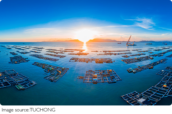 Mudança Climática Urgente