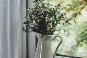 Nature's Emotional Elegance