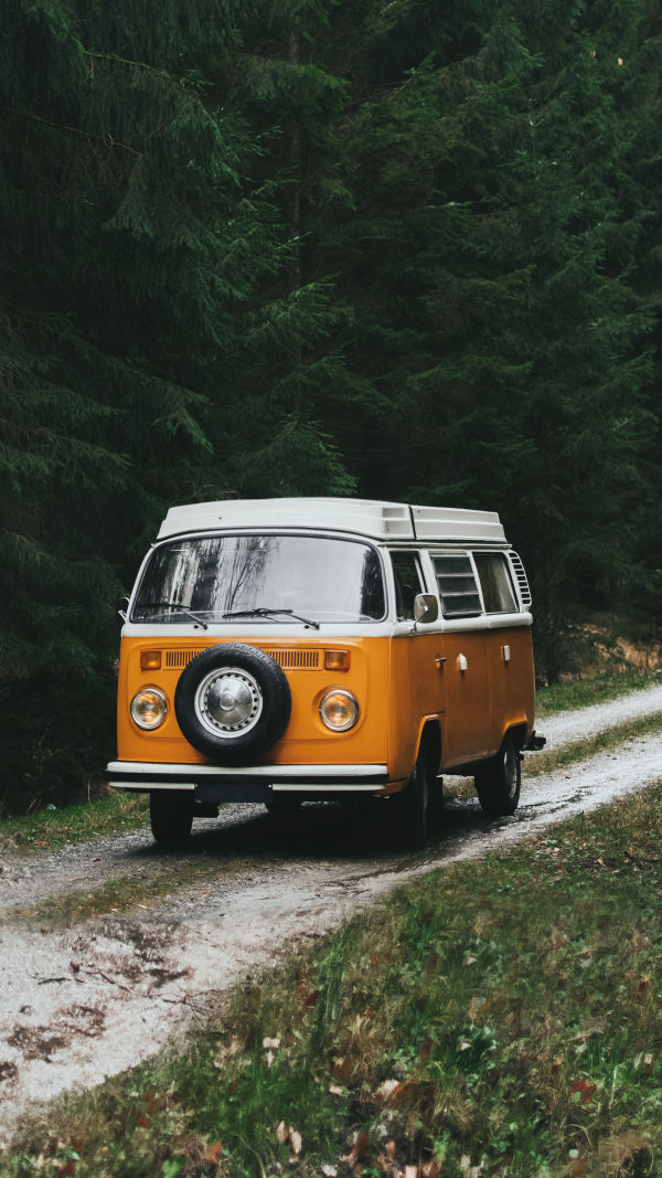 Roaming Free