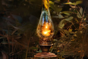 Electric Light Revolution