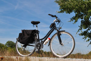 Riding With Vigor