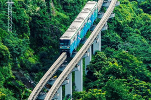 Subway vs. Light Rail