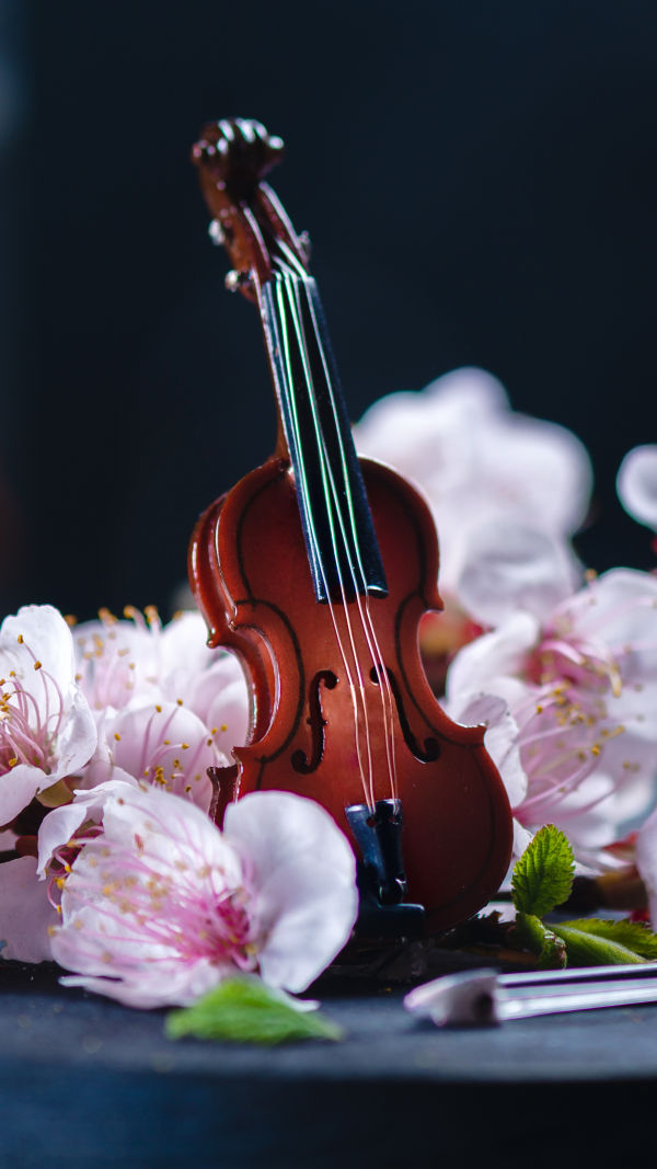 The Violin Legacy