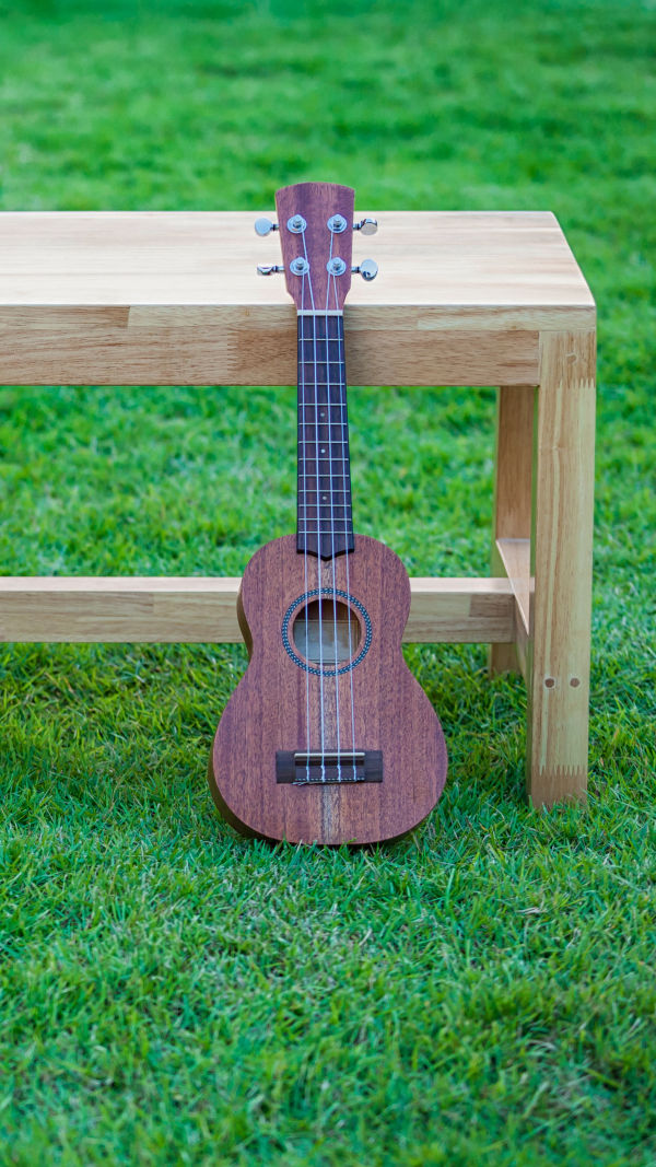 Ukulele vs. Guitar