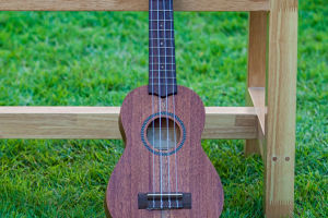 Ukulele vs. Guitar