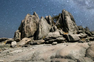 Stargazing Insights