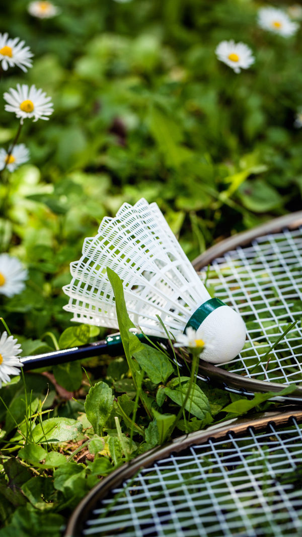 Badminton Game
