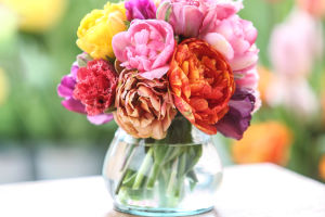 Sustaining Peony Beauty