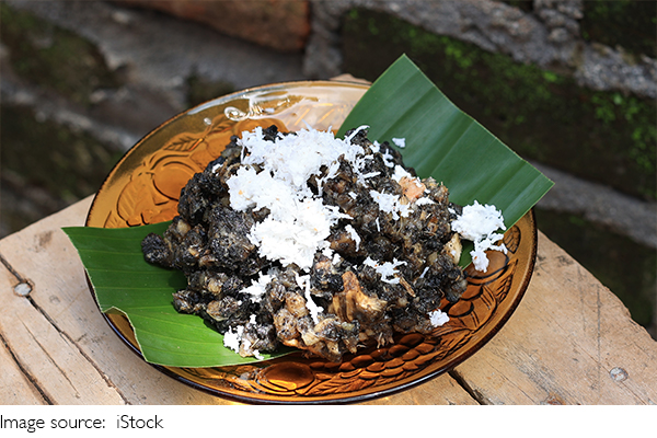 Gatot Singkong Tradisional