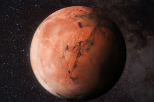 Solar System Habitability