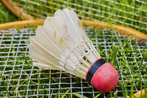 Winning Strokes