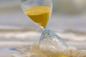 Capturing Time