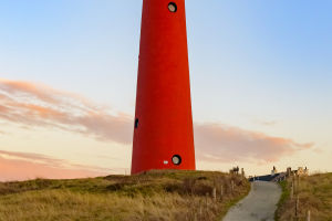 Artful Structures