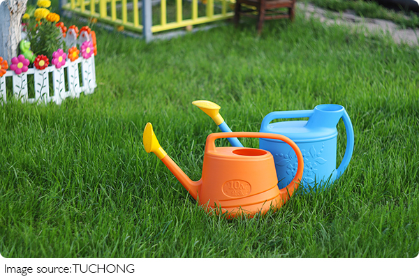 Cách trồng rau tại nhà