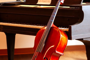 From Novice to Virtuoso