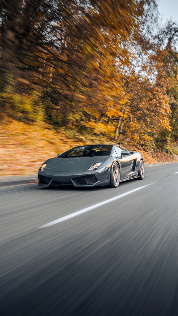 Speed Fever