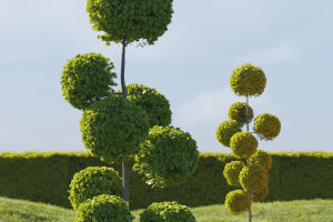 Where Nature Meets Art