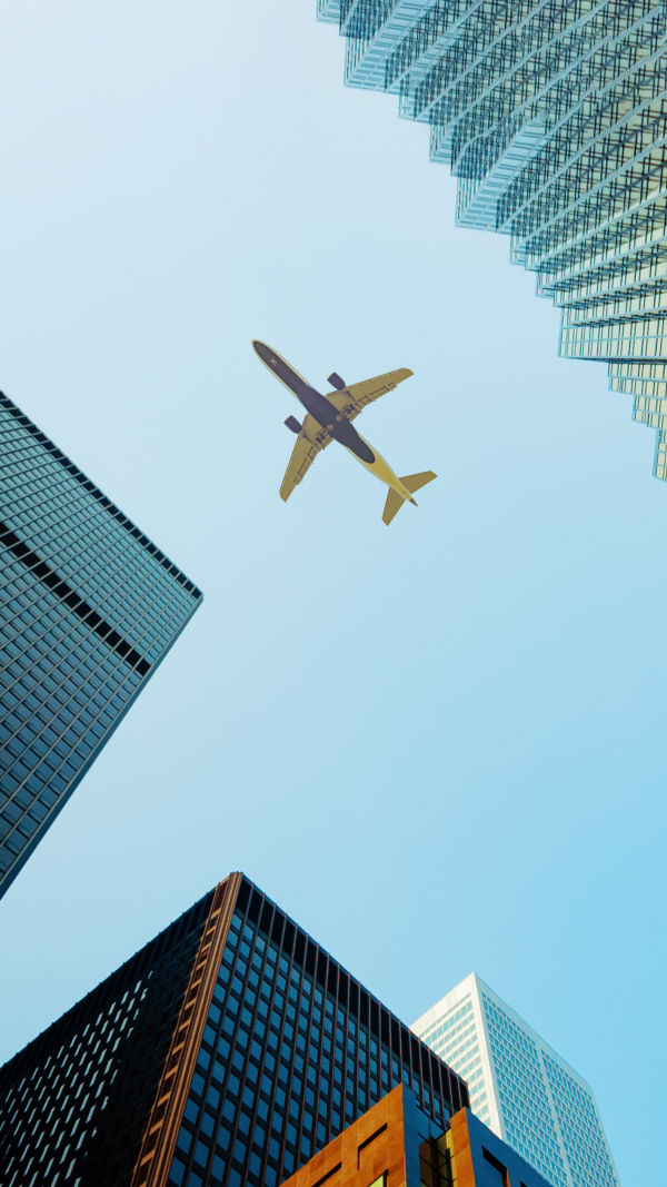 Flight Patterns Unveiled