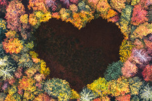 The Flavor of Autumn