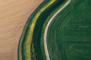 Agriculture