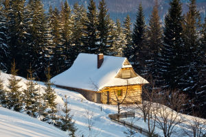 A Winter Wonderland