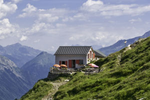 Alpine Vitality