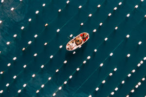 Water from above