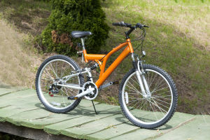 Bicycle Tour