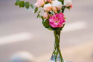 Forever in Bloom