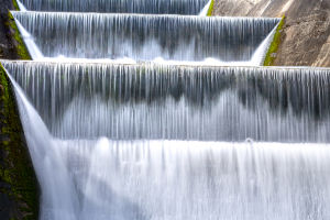 Fish Migration Aid