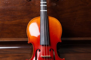 Violin Evolution History