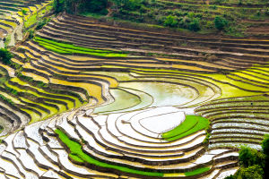 Facts About Terracing