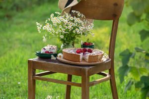 The Global Appeal of Picnics