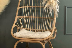 Mastering Rattan