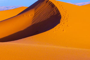 Earth's Climate Dance