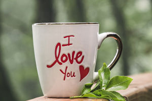 Love in the Digital Age